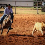 Experience the Thrills of the Annual Charleville Rodeo 2024